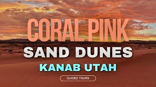 Coral Pink Sand Dunes  Kanab Utah Tours [upl. by Kilmarx66]