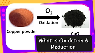 Science – Oxidation and Reduction Redox Reaction – Chemical Reaction Types Part 6 – English [upl. by Yrakcaz]