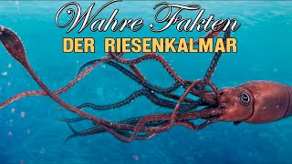 Der Riesenkalmar  mysteriöser Bewohner der Tiefsee Interessante Fakten über den Kolossalkalmar [upl. by Asilad942]