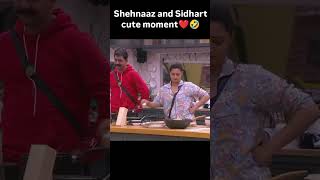 sidnaaz sidharthshukla sehnaazgill biggboss13 viralvideo shorts public [upl. by Tait522]