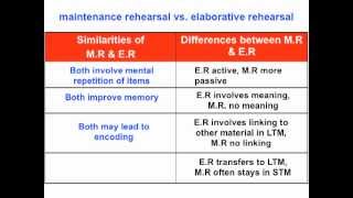 Maintenance Rehearsal vs Elaborative Rehearsal  VCE Psych [upl. by Nudnarb297]