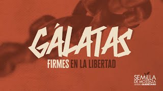 05 Gálatas 21521  ¿Qué es la justificación por gracia [upl. by Razid490]