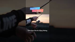 Enjoy Ajing fishing sunline ajing lightgame [upl. by Retha6]