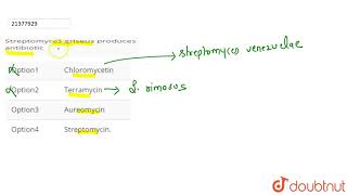 Streptomyces griseus produces antibiotic [upl. by Yaya]