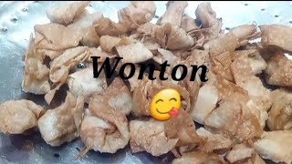 Wonton  Chicken wonton recipe [upl. by Etteiluj]