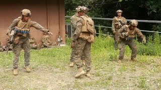 US Marines Fire 40mm Grenade Launchers in Korea Viper 242 [upl. by Alexa886]