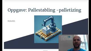 PallestablerPalletizer [upl. by Lucas]