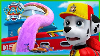 NEW Launch amp Rescue Patroller HowTo Play  PAW Patrol  Toys for Kids [upl. by Trahern]