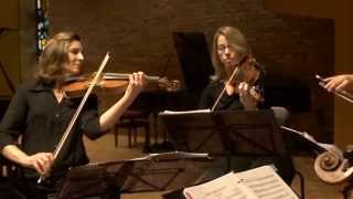 Haydn String Quartet No 53 in D Major Op 64  quotThe Larkquot [upl. by Retsehc914]