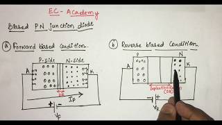 3 P N junction diode under forward bias and reverse bias Condition  EC Academy [upl. by Ydeh]