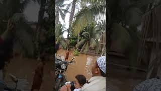 Banjir Desa Aek Tinga Kecamatan Sosa [upl. by Muns]