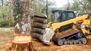 Extreme Dangerous Fastest Wood Chipper Machines Working  CRAZY Powerful Forestry Machines [upl. by Rocca]