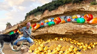 Smart DOG Finds Diamond amp Gemstone Mine Under Stone  More Gemstones Discovered Ep02 [upl. by Osei]