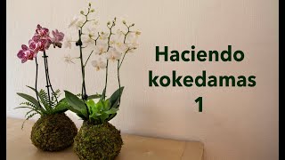 Haciendo Kokedamas 1 I Kokedama orquídea [upl. by Innig]