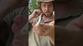 Skipping Arrow for Duck Hunting survival archery outdoors camping nature bushcraft primitive [upl. by Adnilg373]