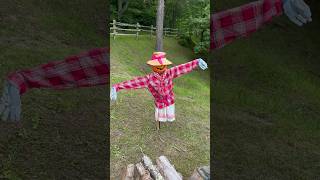 Ilean the one legged scarecrow rock steelydan garden [upl. by Evars]