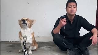 1869 Musical Duo in China Dog and Owners Hilarious Duet [upl. by Eilojne33]