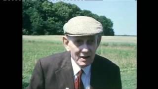 ITV Wales Mametz Wood Archive Interviews [upl. by Eugor513]