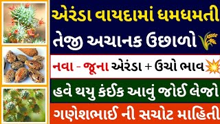 એરંડા વાયદામાં ધમધમતી તેજી અચાનક ઉછાળો l arenda na bhav l castor seeds l commodity prices [upl. by Eneleahs]