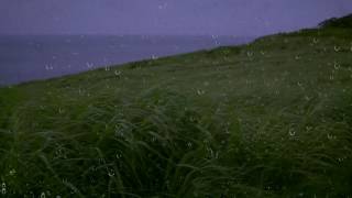 Rain amp Wind Sounds for Sleep amp Relaxation w Distant Thunder amp Ocean Waves  Relaxing White Noise [upl. by Ahsitak]