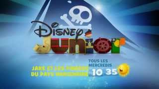 Disney Junior HD France Summer Request 20 Continuity 2014 [upl. by Olenta]