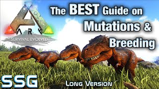 ARK SURVIVAL The Best Guide on Breeding Stat Mutations SeeShellGaming [upl. by Isidora]