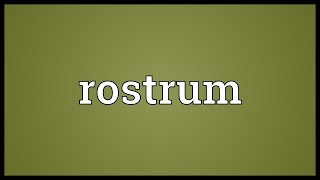 Rostrum Meaning [upl. by Ellersick43]