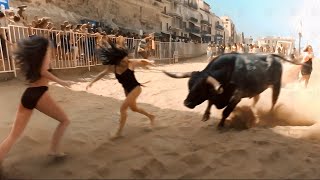 When Animals Go On A Rampage And Got Caught On Camera [upl. by Leonora479]