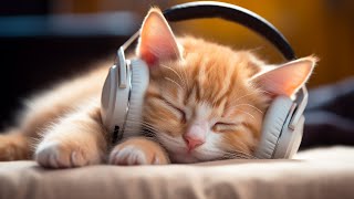 Calming Music for Anxious Cats Soothing Sounds for Deep Relaxation and Sleep [upl. by Barnabas694]