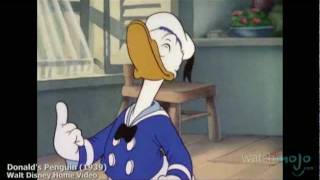 The History of Donald Duck [upl. by Winsor]