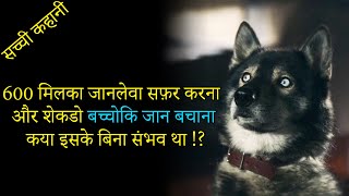 Togo Movie Explained In Hindi  Hollywood movies  True Story [upl. by Bernt170]