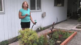 How to Keep Outdoor Plants Watered While on Vacation [upl. by Rachele]