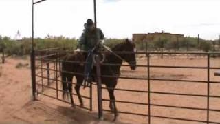 Trail Horse Obstacles  Gateswmv [upl. by Job]