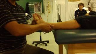 Lateral Malleolus Mobilization Posterior Glide for Ankle Sprains [upl. by Pudendas]