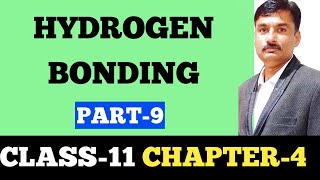 CLASS 11 CHAPTER 4 CHEMICAL BONDING AND MOLECULAR STRUCTURE PART 9 HYDROGEN BONDING [upl. by Augusto]