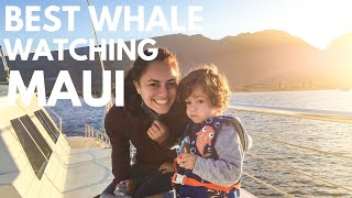 7 Tips for Maui Whale Watching  Whale Watching in Hawaii Has Never Been Better plus 10 off [upl. by Theodor782]