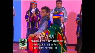 Ceylan Nesine Yandım Bilmem [upl. by Arelc107]