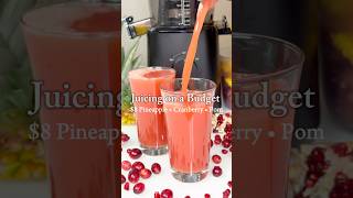 Juicing on a budget  8 Cold Pressed Juice  Holiday inspired Juice juicerecipes healthyrecipes [upl. by Gwenn]