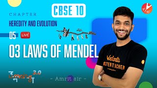 Heredity and Evolution L5  3 Laws of Mendel  CBSE Class 10 Biology Chapter 9  Term 2  Vedantu [upl. by Kahle]