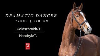 Dramatic DancerT 2020 v EH GoldschmidtT  HandrykT [upl. by Earehc]