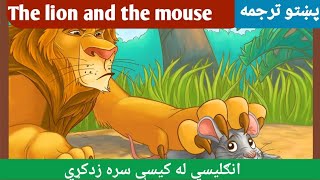 English story in pashto  English to pashto learning [upl. by Clarissa]