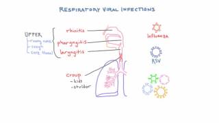 Respiratory Viruses  Clinical Presentations and Diagnosis [upl. by Domel]