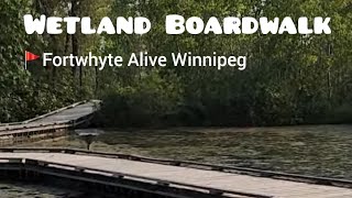 Wetland Boardwalk  Fortwhyte Alive [upl. by Stevena]