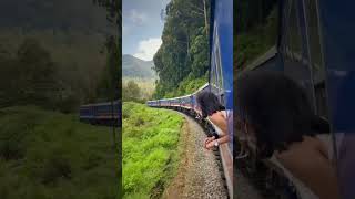 Beautiful Train Rides Through Nature trains amtrak eco travel train travel [upl. by Enhpad]