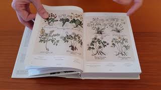 BASILIUS BESLERS FLORILEGIUM THE BOOK OF PLANTS  Bibliotheca Universalis Taschen leaf through [upl. by Nariko]