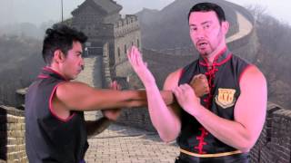 Learn Wing Chuns Tan Sau in One Minute  Sifu Tei [upl. by Aisul]