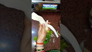 Mooli salad  white radish salad recipe  viralvideo shortvideo [upl. by Palecek405]