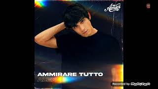 AMICI 21 ALEX WYSE  AMMIRARE TUTTO alexwvevo4734 [upl. by Ammadas]