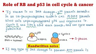 Role of Retinoblastoma RB and p53 in cell cycle and cancer  Mechanism [upl. by Sanger]