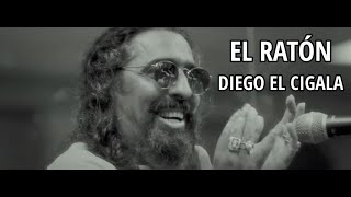 Diego El Cigala  El ratón LetraLyrics [upl. by Llirrehs]